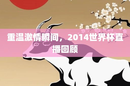 重温激情瞬间，2014世界杯直播回顾广西贺州市华昌新材料有限公司