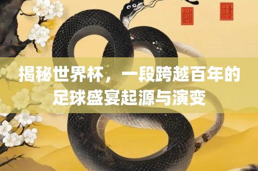 揭秘世界杯，一段跨越百年的足球盛宴起源与演变广西贺州市华昌新材料有限公司