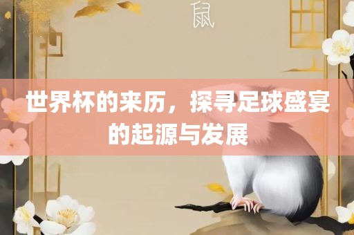 广西贺州市华昌新材料有限公司世界杯的来历，探寻足球盛宴的起源与发展