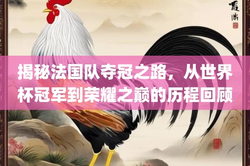 揭秘法国队夺冠之路，从世界杯冠军到荣耀之巅的历程回顾广西贺州市华昌新材料有限公司