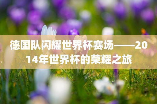 德国队闪耀世界杯赛场——2014年世界杯的荣耀之旅广西贺州市华昌新材料有限公司