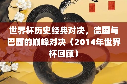 世界杯历史经典对决，德国与巴西的巅峰对决（2014年世界杯回顾）广西贺州市华昌新材料有限公司