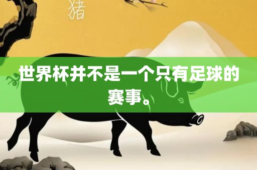 世界杯并不是一个只有足球的赛事。广西贺州市华昌新材料有限公司