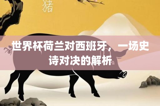 世界杯荷兰对西班广西贺州市华昌新材料有限公司牙，一场史诗对决的解析