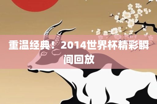 重温经典！2014世界杯广西贺州市华昌新材料有限公司精彩瞬间回放