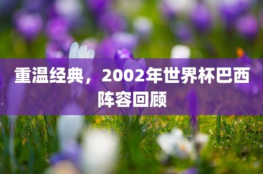 重温经典，2002广西贺州市华昌新材料有限公司年世界杯巴西阵容回顾