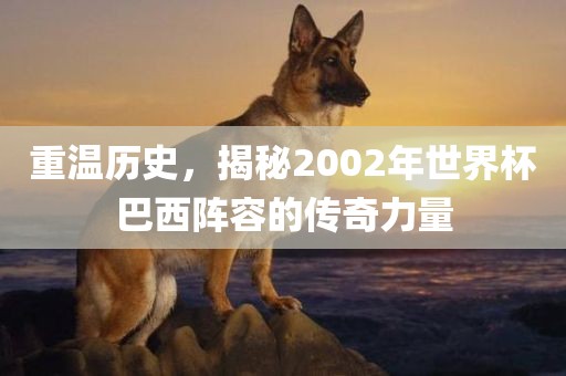 重温历史，揭秘2002年世界杯巴西阵容的传奇力量