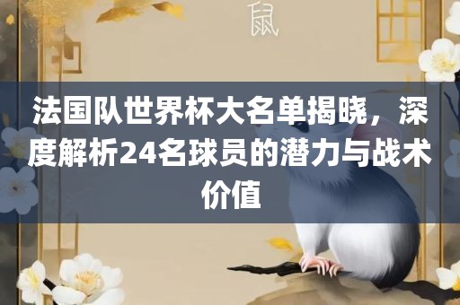 法国队世界杯大名单揭晓，深度解析24名球员的潜力与战术价值广西贺州市华昌新材料有限公司
