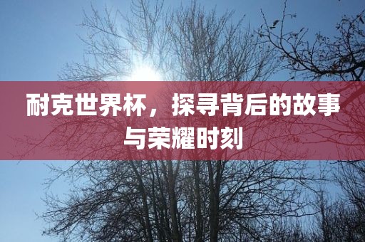 耐克世界杯，探寻背后的故事与荣耀时刻广西贺州市华昌新材料有限公司