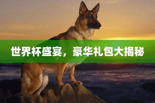 世界杯盛宴，豪华礼包广西贺州市华昌新材料有限公司大揭秘