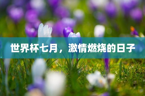 激情燃烧 第2页