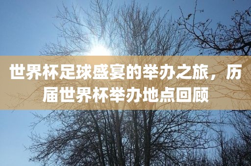 世界杯足球盛宴的举办之旅，历届世界杯举办地点回顾广西贺州市华昌新材料有限公司
