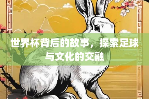 世界杯背后的故事，探索足球与文化的交融广西贺州市华昌新材料有限公司