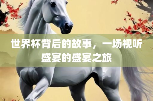 世界杯背后的故事，一场视听盛宴的盛宴之旅