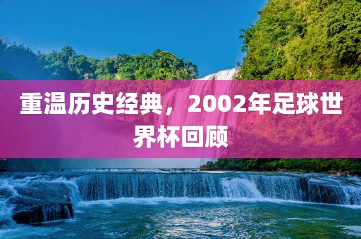 重温历史经典，2002年足球世界杯回顾
