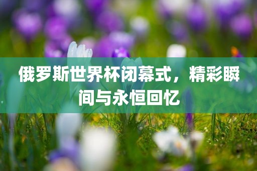 俄罗斯世界杯闭幕式，精彩瞬间与永恒回忆广西贺州市华昌新材料有限公司