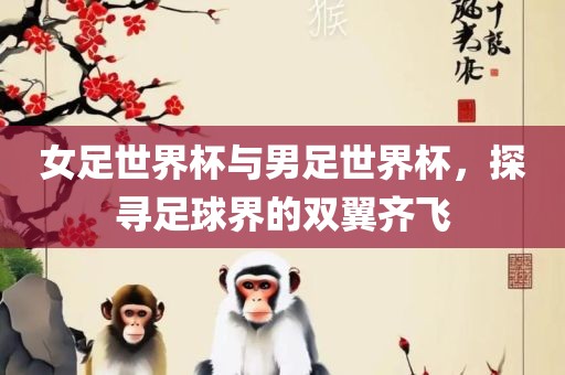 女足世界杯与男足世界杯，探寻足球界的双翼齐飞