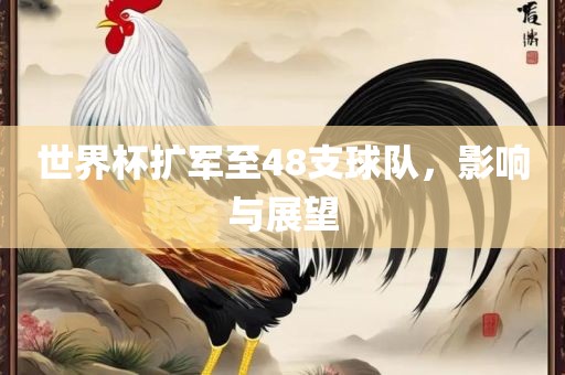 世界杯扩军至48支球队，影响与展望广西贺州市华昌新材料有限公司