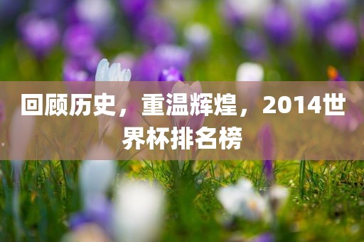 回顾历史，重温辉煌，2014世界杯排名榜