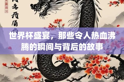 世界杯盛宴，那些令人热血沸腾的瞬间与背后的故事广西贺州市华昌新材料有限公司