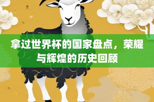 拿过世界杯的国家盘点，荣耀与辉煌的历史回顾广西贺州市华昌新材料有限公司