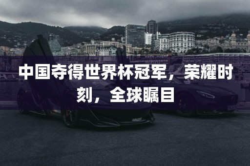 中国夺得世界杯冠军，荣耀时刻，全球瞩目
