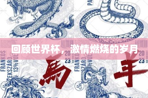 回顾世界杯，激情燃烧的岁月广西贺州市华昌新材料有限公司