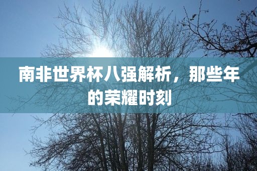 南非世界杯八强解析，那些年的荣耀时刻广西贺州市华昌新材料有限公司