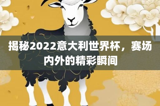揭秘2022意大利世界杯，赛场内外的精彩瞬间
