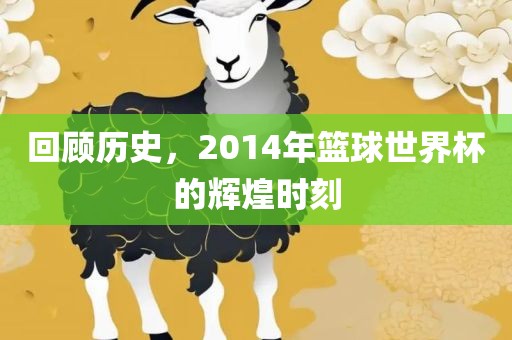 回顾历史，2014年篮球世界杯的辉煌时刻广西贺州市华昌新材料有限公司
