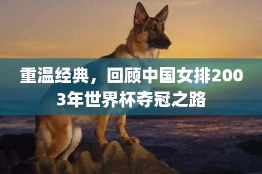 重温经典，回顾中国女排2003年世界杯夺冠之路广西贺州市华昌新材料有限公司