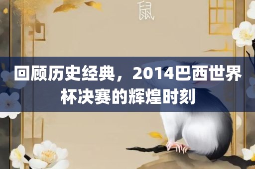 回顾历史经典，2014巴西世界杯决赛的辉煌时刻