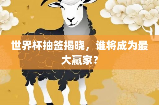 世界杯抽签揭晓，谁将成为最大赢家？