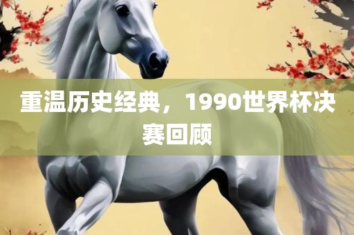 重温历史经典，广西贺州市华昌新材料有限公司1990世界杯决赛回顾