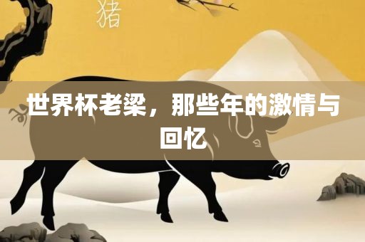 世界杯老梁，那些年的激情与回忆