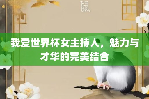 我爱世界杯女主持人，魅力与才华的完美结合