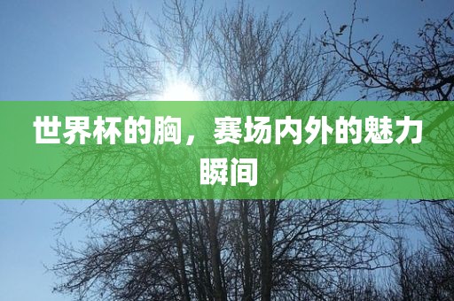 世界杯的胸，赛场内外的魅力瞬间广西贺州市华昌新材料有限公司