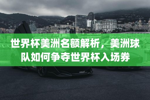世界杯美洲名额解析，美洲球队如何争夺世界杯入场券