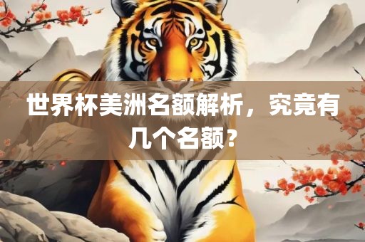 世界杯美洲名额解析，究竟有几个名额？广西贺州市华昌新材料有限公司