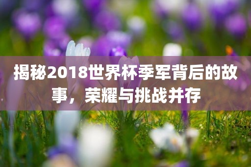 揭秘2018世界杯季军背后的故事，荣耀与挑战并存广西贺州市华昌新材料有限公司