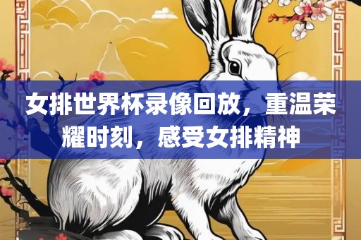 女排世界杯录像回放，重温荣耀时刻，感受女排精神