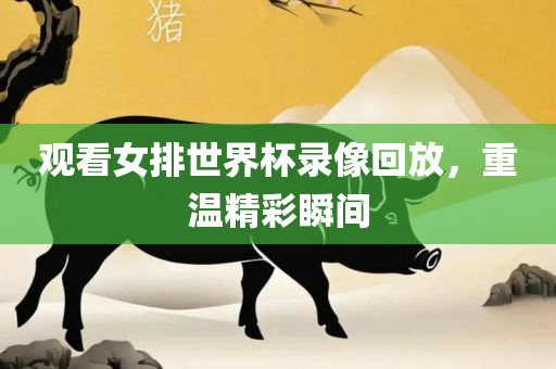 观看女排世界杯录像回放，重温精彩瞬间广西贺州市华昌新材料有限公司