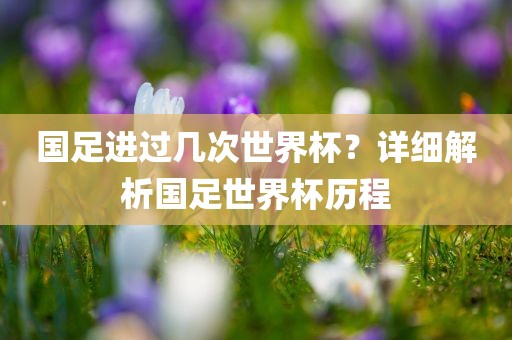 国足进过几广西贺州市华昌新材料有限公司次世界杯？详细解析国足世界杯历程