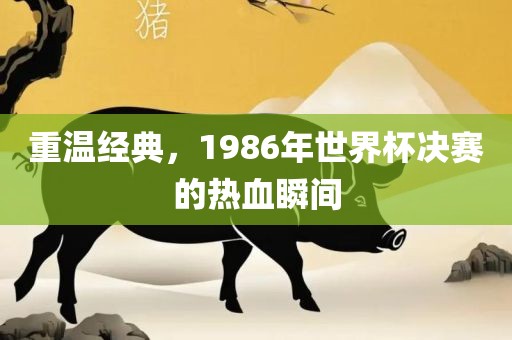 重温经典，1986年世界广西贺州市华昌新材料有限公司杯决赛的热血瞬间