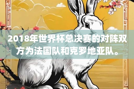 2018年世界杯总决赛的对阵双方为法国队和克罗地亚队。广西贺州市华昌新材料有限公司