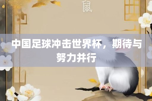 中国足球冲击世界杯，期待与努力并行广西贺州市华昌新材料有限公司