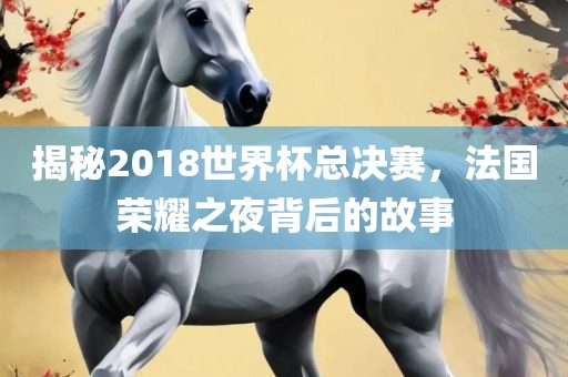 揭秘2018世界杯总决赛，法国荣耀之夜背后的故事广西贺州市华昌新材料有限公司