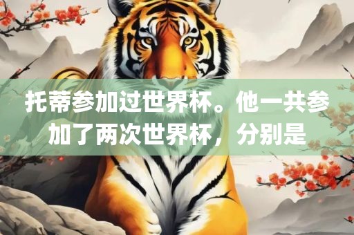 托蒂参加过世界杯。他一共参加了两次世界杯，分别是广西贺州市华昌新材料有限公司