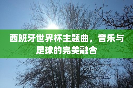 西班牙世界杯主题曲，音乐与足球的完美融合