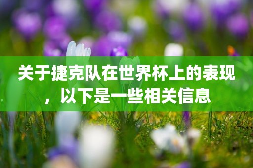 关于捷克队在世界杯上的表现，以下是一些相关信息广西贺州市华昌新材料有限公司